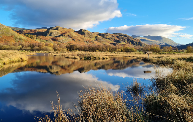 Photo of a mountains reflected on a still lake. 