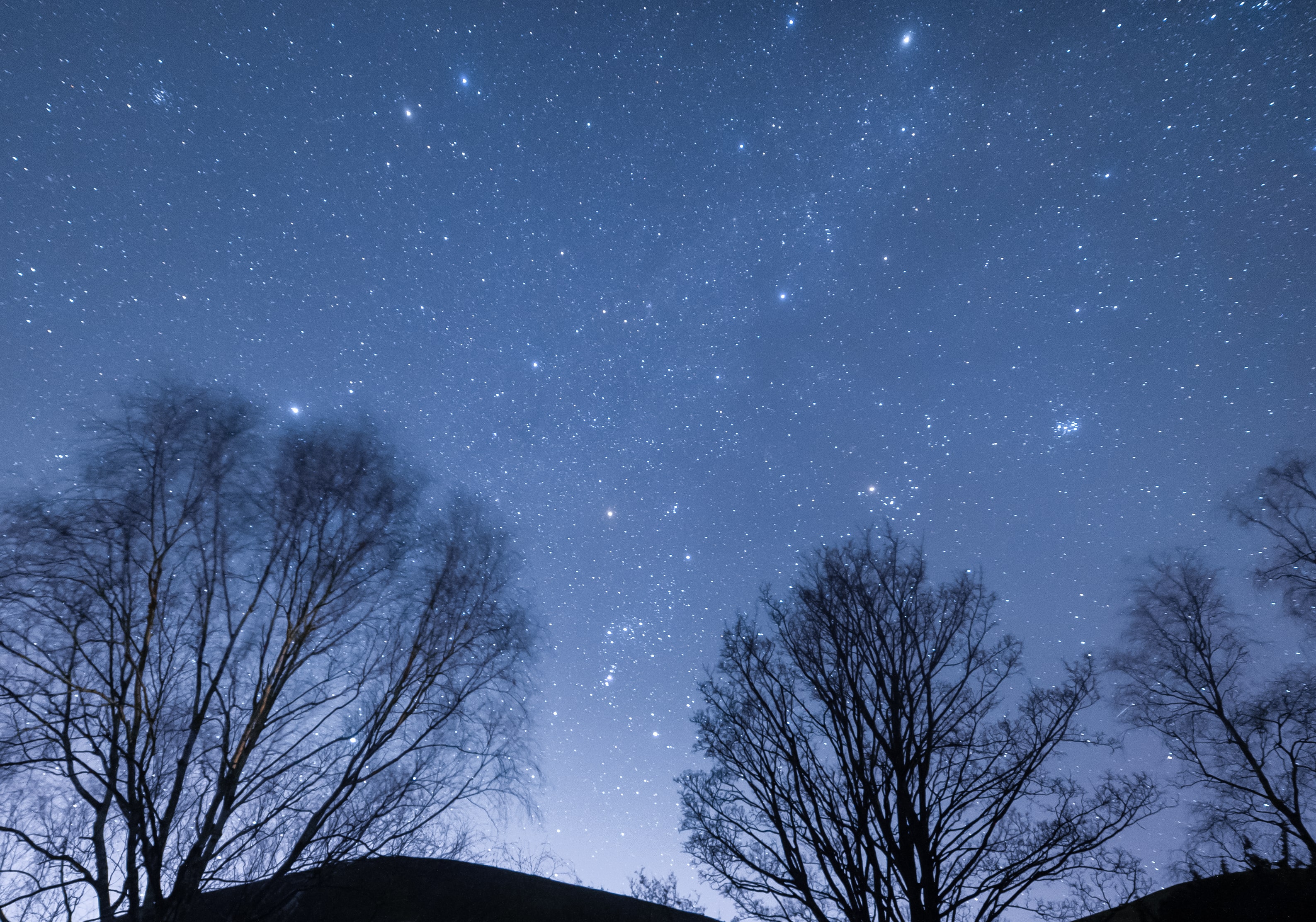 Bright stars in the winter night skies.