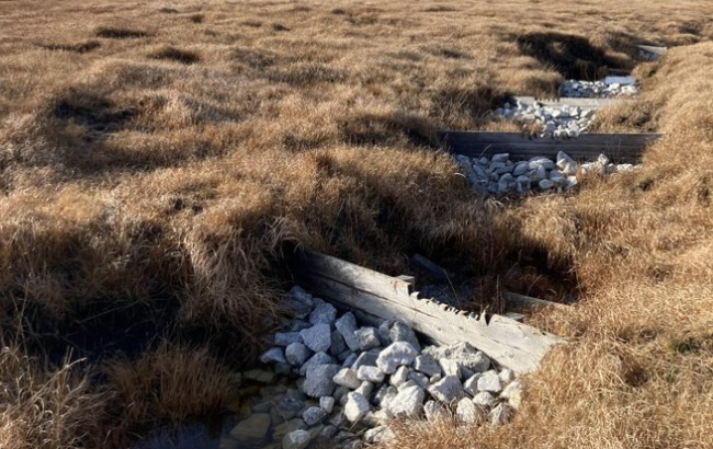 Dams in peatlands