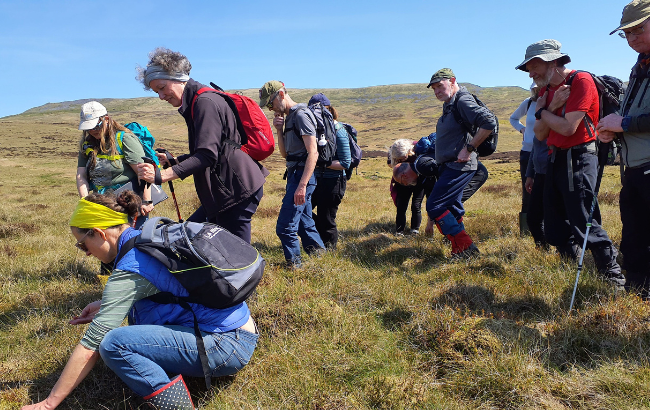Volunteers on a peatland.