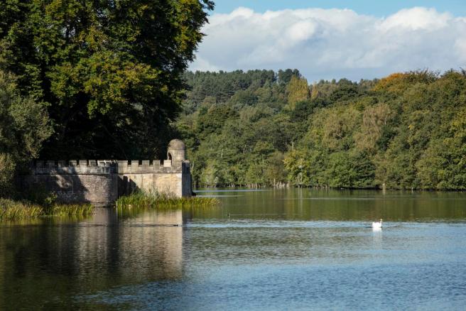 Modern colour photograph of blue lake with fort on the left bank and a forest landscape on the right bank. In the middle distance a swan swims towards the viewer.