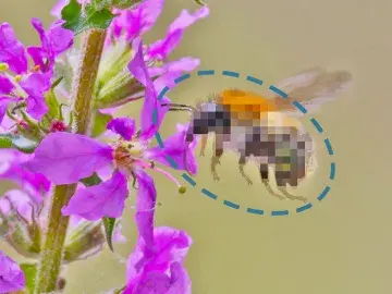 Pixelated bumblebee visiting flowers