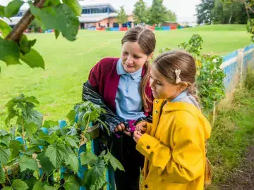 two students looking at a plant that has grown almost to eye level