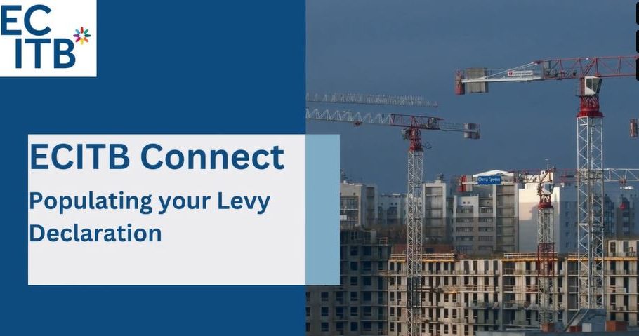 Populating Your Levy Declaration