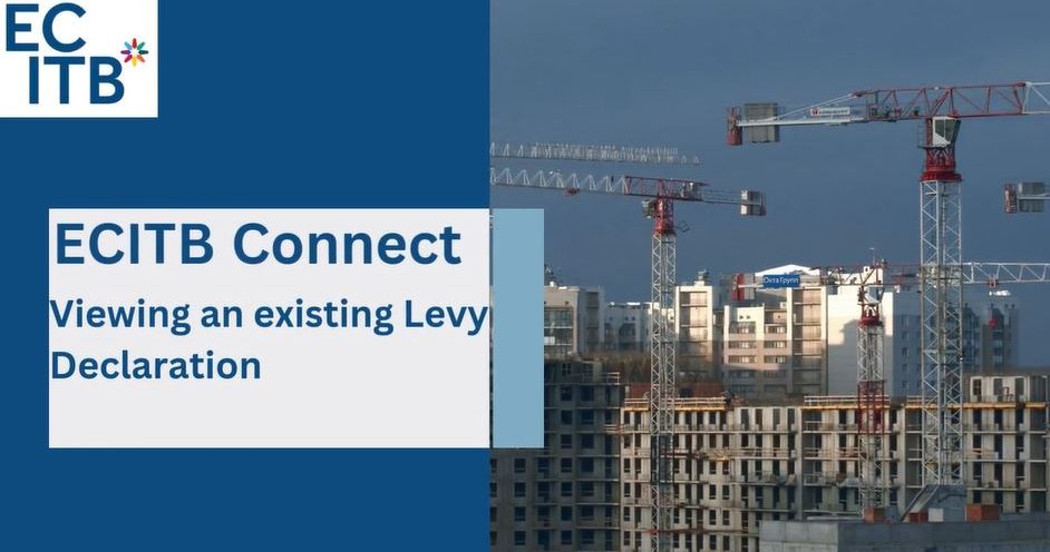 Viewing An Existing Levy Declaration