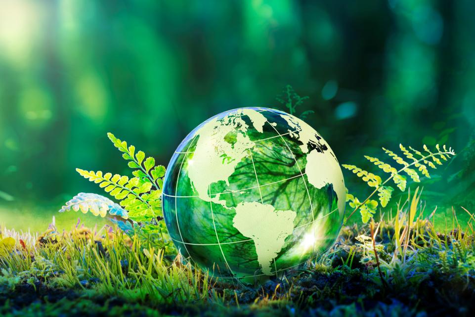 Green planet