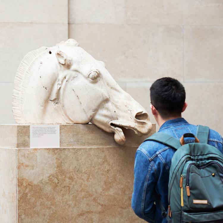 Wide view shot of the horse head sculpture from the Parthenon marbles