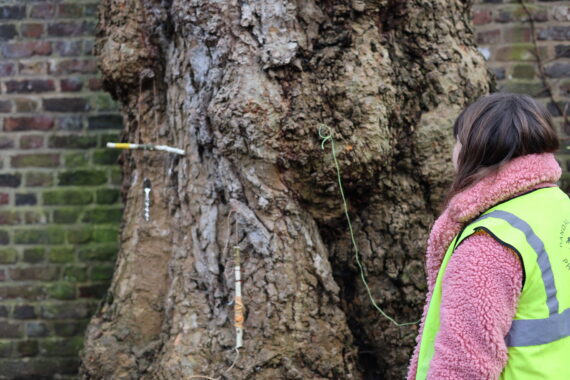 A child looking at a tree during a workshop outdoors