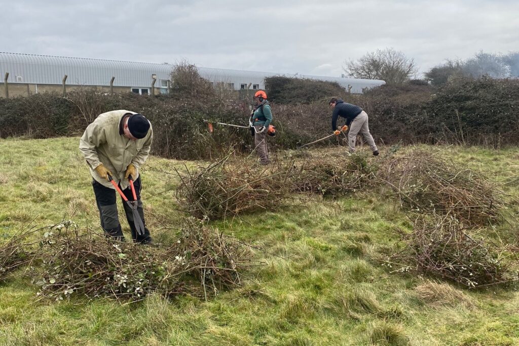Three volunteers with gardening tools clearing patches of scrub in a grassy area.