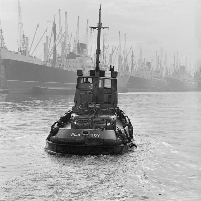 Historic black and white photo of very small tug in the river against a line of much larger ships berthed on the left with the tall masts of the loading infrastructure of cranes and derricks beyond. 