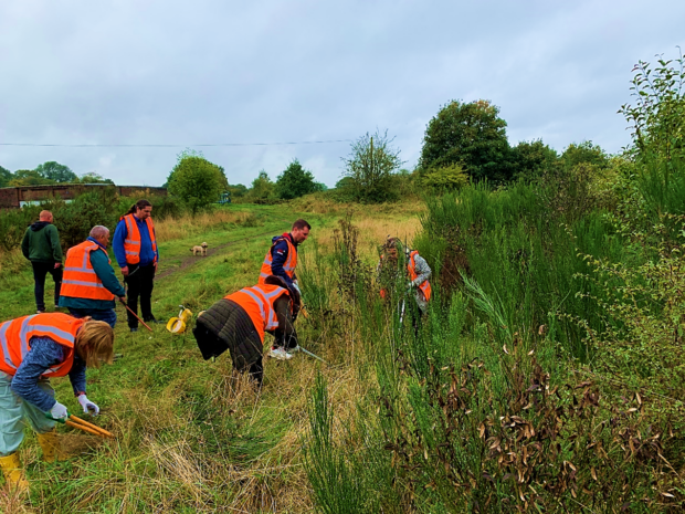 Corporate volunteers from HomeServe work with Walsall Council staff to clear scrub to expand an acid grassland habitat at Pelsall North Common.