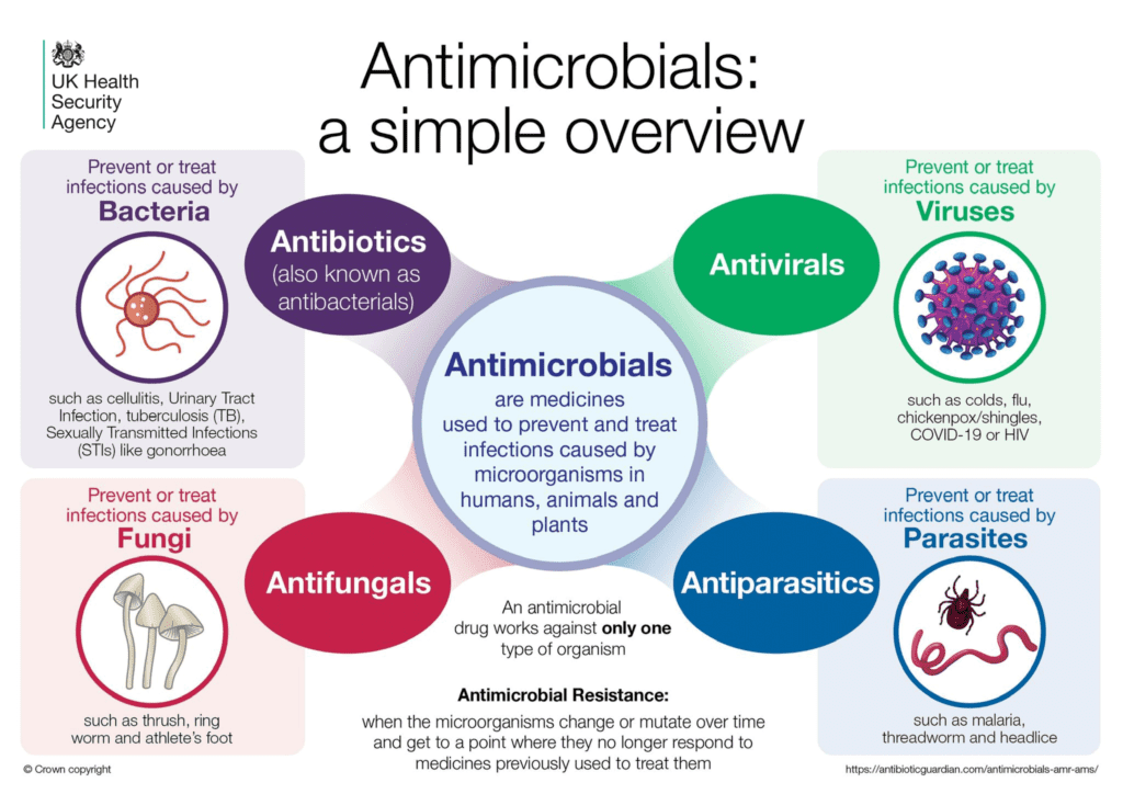 A graphic reading: Antimicrobials - A simple overview. Antimicrobials are medicines used to prevent and treat infections caused by microorganisms in humans, animals and plants. They include antibiotics, antivirals, antifungals and antiparasitics.