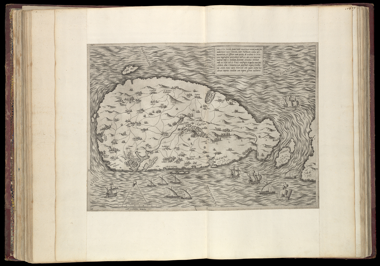 An image showing 'PBC3995(59); Melita insula'