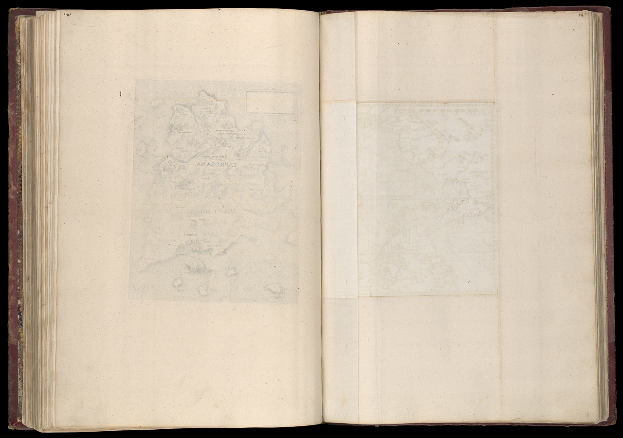 An image showing 'PBC3995(81); 80 Verso &amp; 81 Recto'