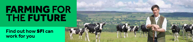 Banner image which links to the SFI campaign page