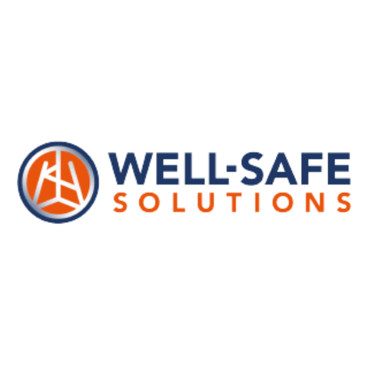 Well Safe Solutions Limited logo