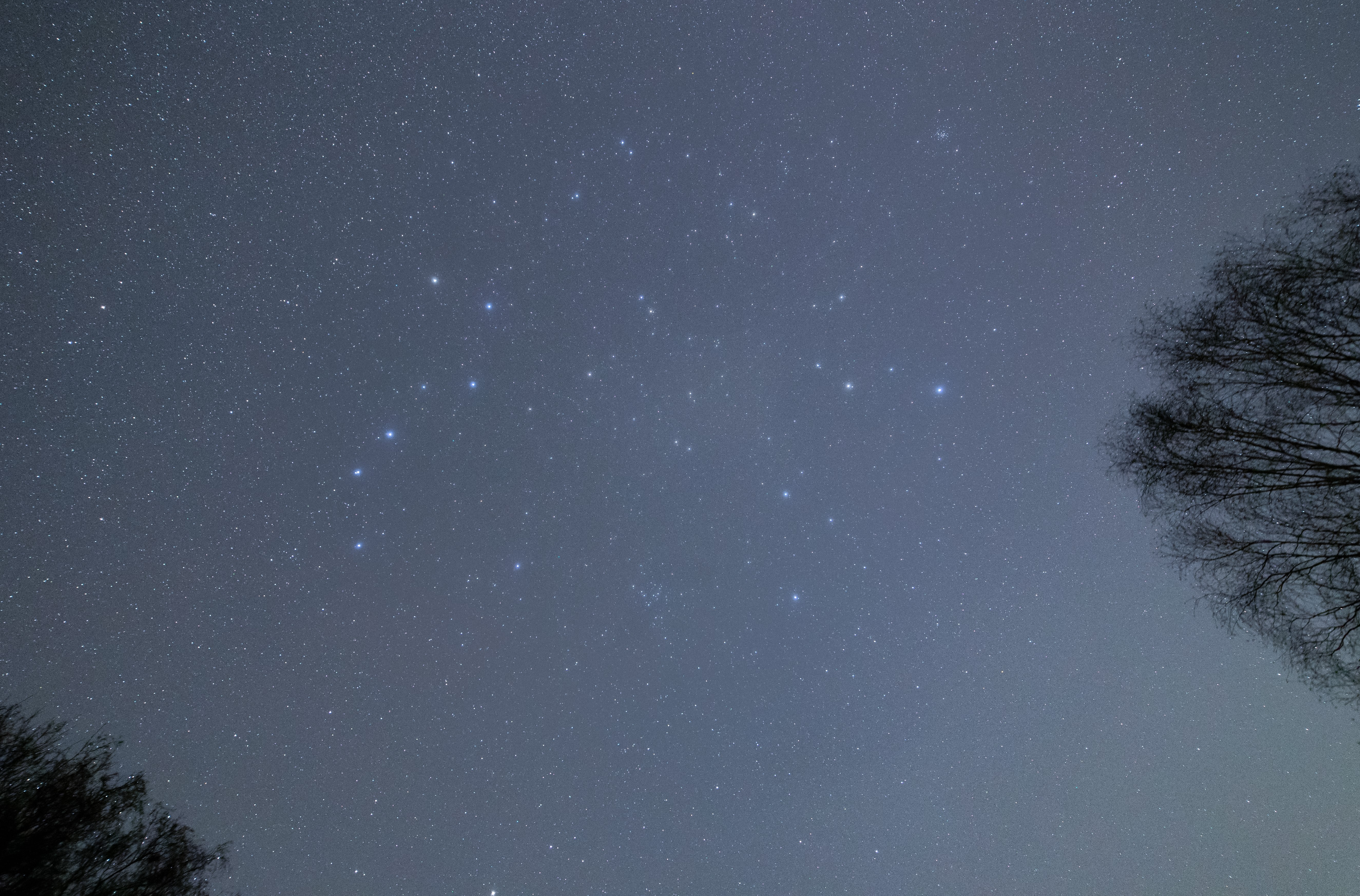 Ursa Major (left) and Leo (right). Credit: Derek Smale