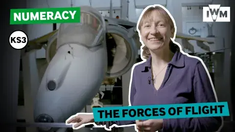 Forces of Flight graphic