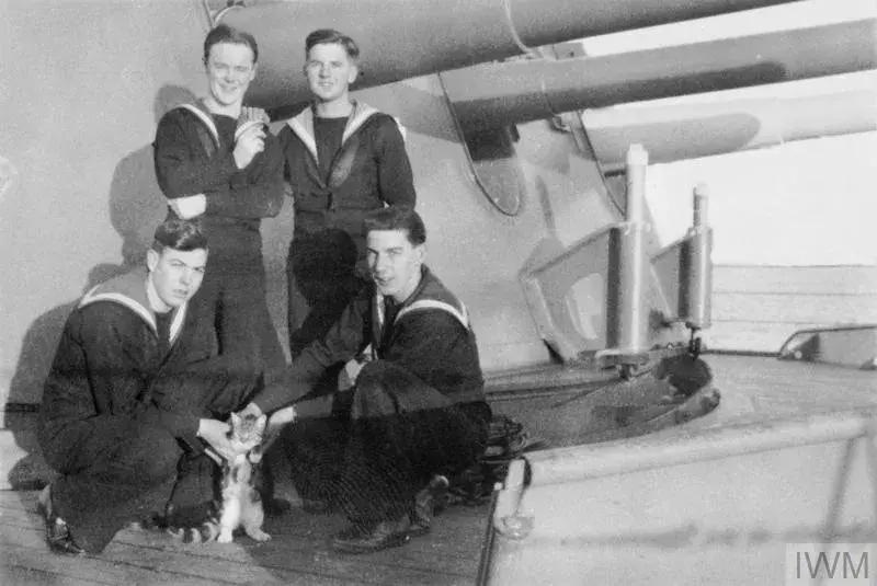 Sailors of HMS BELFAST with a young cat, possibly "Frankenstein", on the starboard side of A Turret.