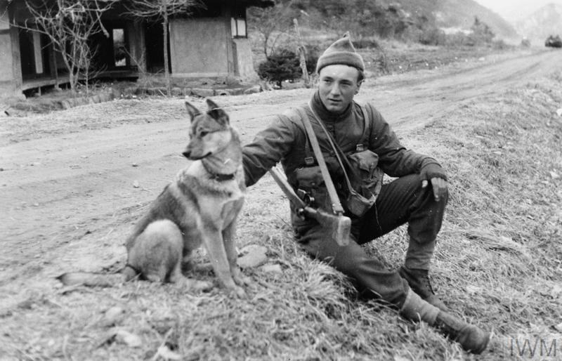 Private John Rudd of the 1st Battalion, Middlesex Regiment sitting at the roadside in a Korean village with his dog, which has been trained for guard duties.