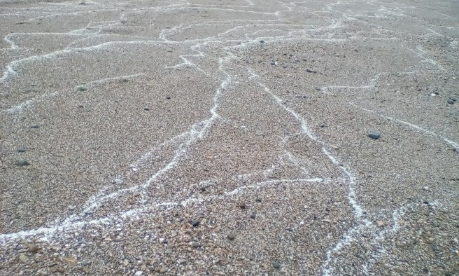 Shingle beach criss-crossed with white salt lines
