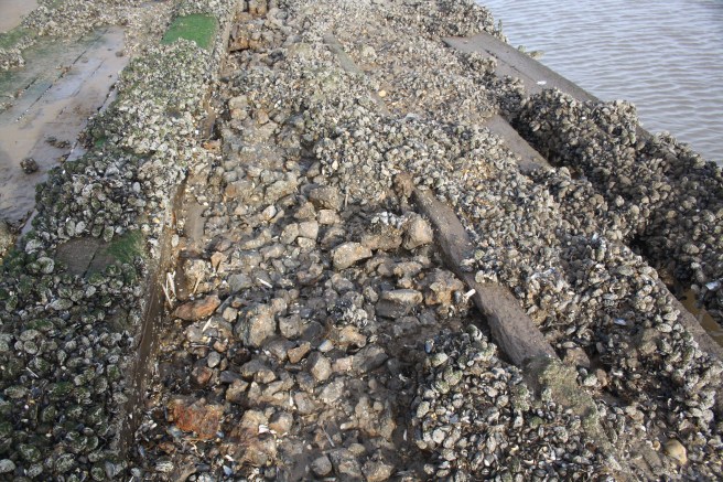 Stones scattered over wreck timbers, largest stones in the centre left foreground.