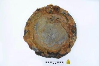 Pan body showing rust-coloured concretion, particularly around the edges, with scale rule and yellow archaeological tag below.