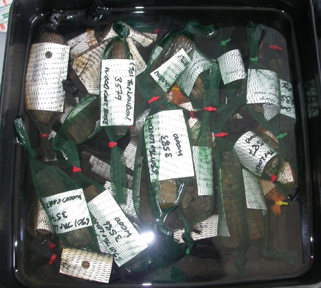 Jumble of black bottles, all with individually numbered white labels.
