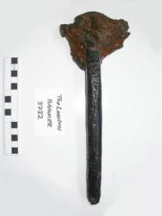 Hammer laid vertically, showing concretion at the head, with scale marker and label to left.