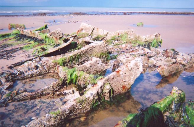 Colour photograph of ribs of wreck, partly covered in seaweed, in the foreground of the image, on a beach, which stretches to the background of the image. The top sixth of the image is taken up by a flat band of blue sky and sea.