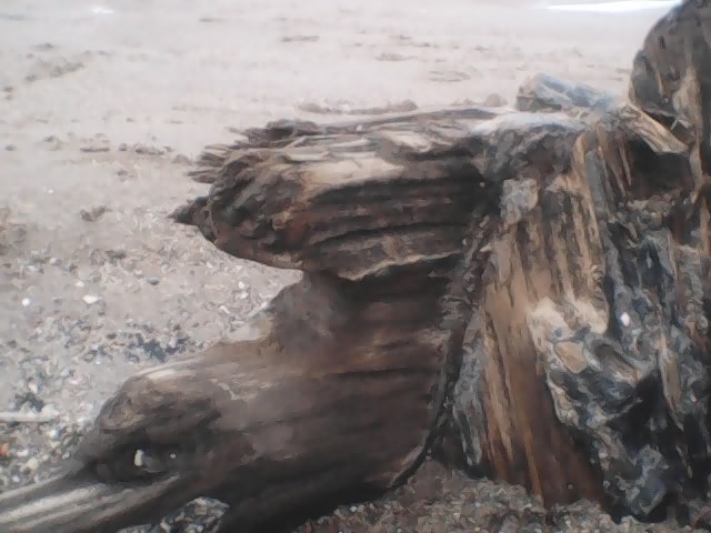 Detail photograph of brown fragment of ship's timber in the foreground, with lighter-coloured sand in the background.