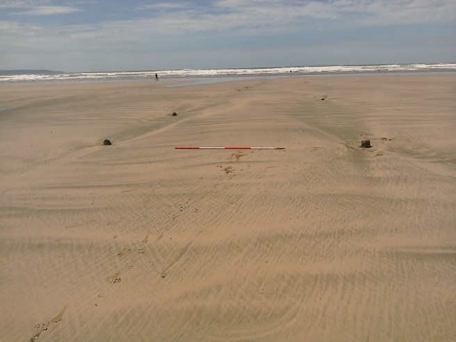 A sandy beach from which the tops of timber posts protrude in parallel rows, stretching out to sea. Breakers are on the shore against a grey-blue sky