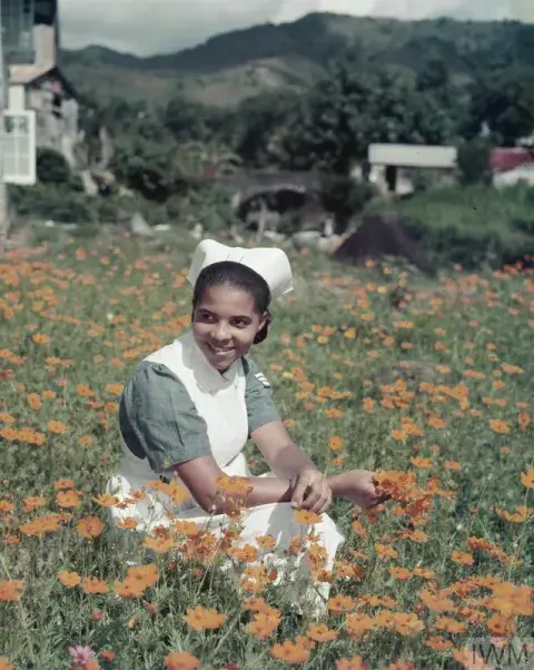 Nurse Elsie Sandy picking cosmos flowers outside the nurses' hostel in the grounds of the Colonial Hospital on St Vincent in March 1955.