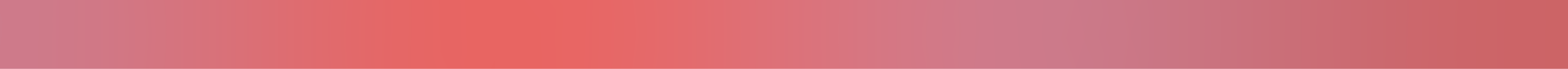 thin horizontal banner