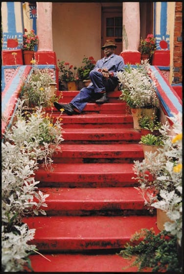 Mr Pink reclining on his stairs