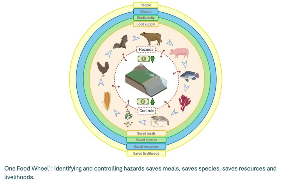 Diagram of the One Food wheel to visualise the need to identify and control hazards which saves meals, saves species, saves resources and livlihoods