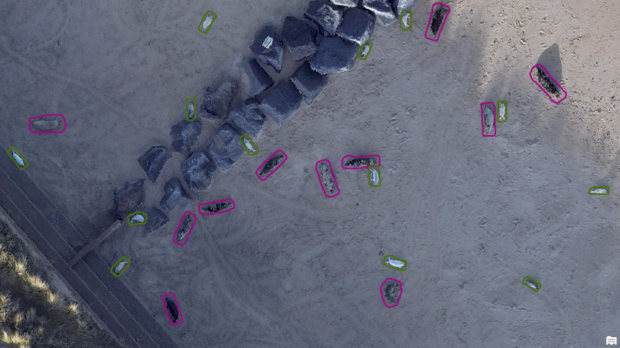 Drone footage which has been analysed using our AI tool. The tool can distinguish between adults (purple outlines) and white-coat pups (green outlines). © Natural England.