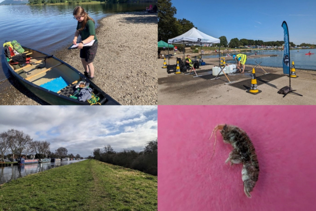 Image split into four parts: a female standing next to a canoe with a clipboard, two people next to a gazebo with cleaning equipment next to a lake with people canoeing, a canal and a shrimp.