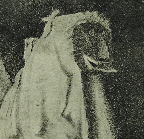 A drawing of a person wearing a mask and veil