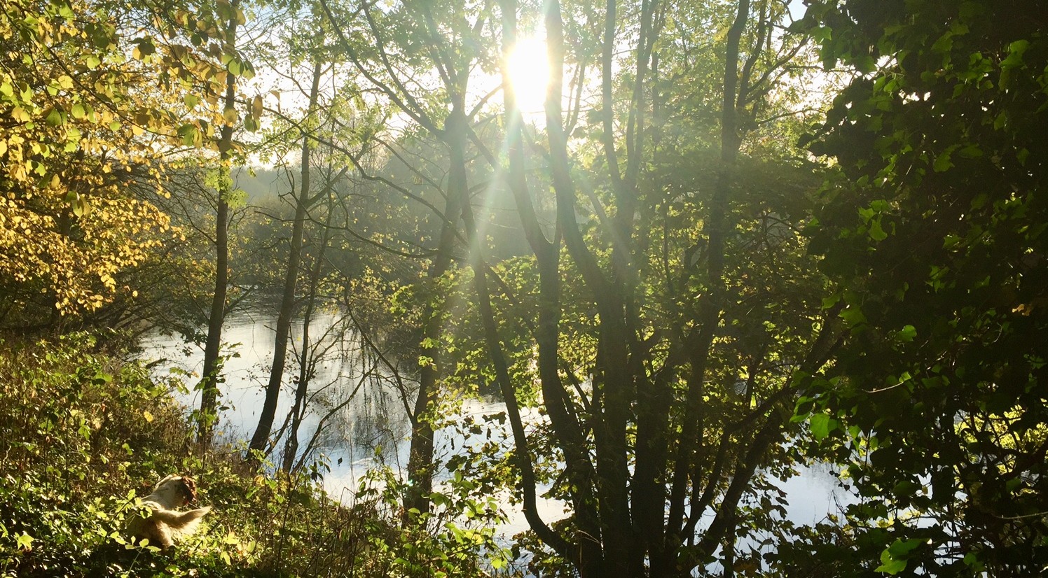 River