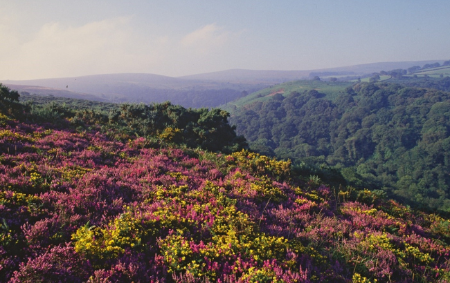 Image of colourful rolling hills