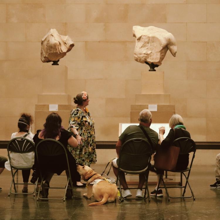 Back view of 10 seated people, one standing tour guide, and a guide dog, all facing four fragmentary marble statues from the Parthenon mounted high up on plinths against a wall.