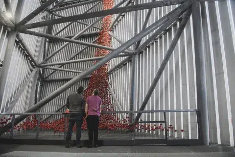 Poppies at IWM North