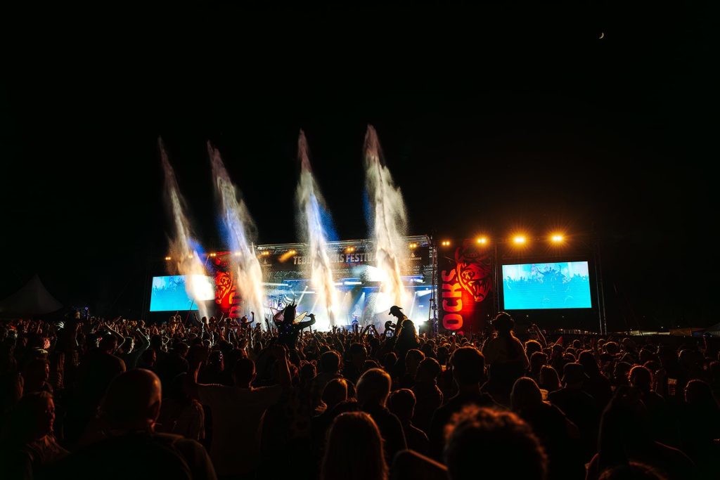 Teddy Rocks Festival