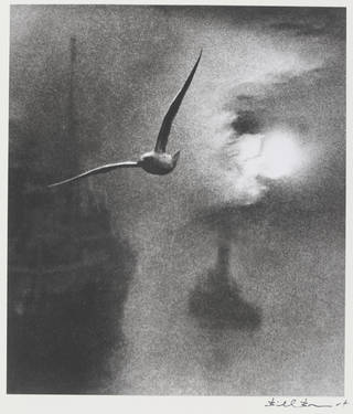 photograph