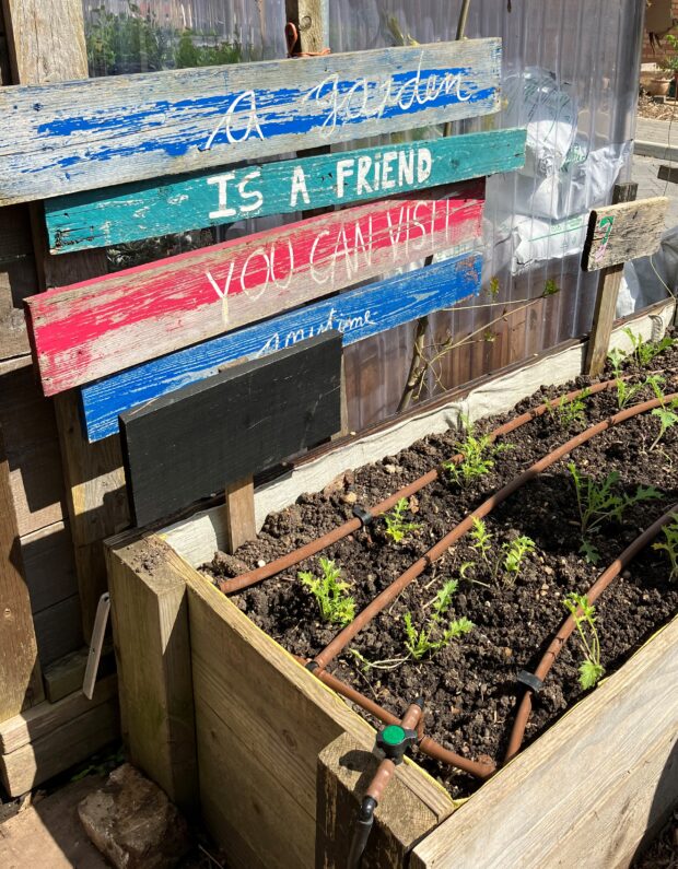A colourful sign above a raised bed at Loughborough Farm in Lambeth, reading: “A garden is a friend you can visit anytime.”