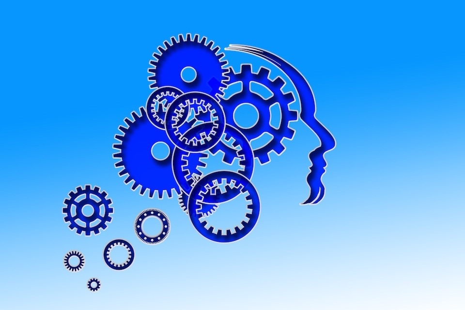 image of the brain to show epilepsy