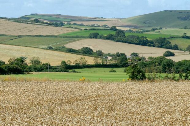 farmland and countryside