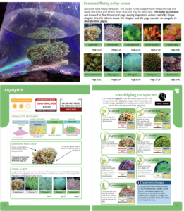 Example page from the guide