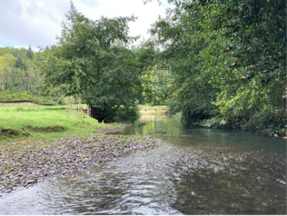 Pristine reach near Aymenstry. The river here is connected to its floodplain and displays classic “run-riffle-pool” habitats.